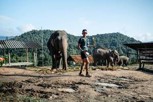 BIB: 
                            <button type="button" onclick="openModal(22423615)" class="btn btn-primary btn-sm float-right btn-popup" data-toggle="modal" data-target=".modal-high-quality">
                        <i class="fas fa-shopping-cart"></i> Add to Cart
                    </button>
                                            <button type="button" onclick="isThisMe(22423615, true)" class="btn btn-success btn-sm float-right btn-popup btn-isme hidden" data-toggle="tooltip" data-placement="bottom" title="นี่คือรูปของคุณใช่ไหม คลิกที่นี่เพื่อเอาเข้าอัลบั้ม">
                        <i class="fas fa-plus"></i> Add to album
                    </button>
                    <button type="button" onclick="isThisMe(22423615, false)" class="btn btn-warning btn-sm float-right btn-popup btn-isnotme hidden">
                        <i class="fas fa-ban"></i> Remove from album
                    </button>